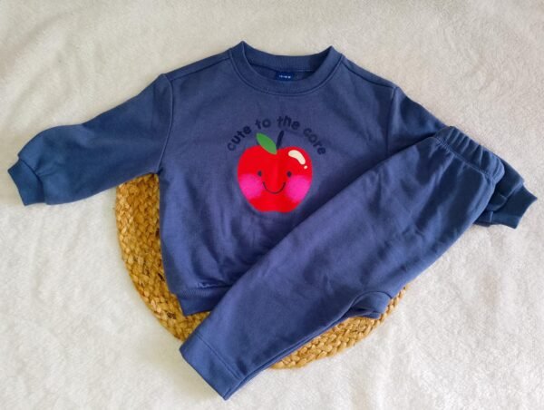 Conjunto Azul Talla: 12/18 meses